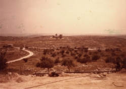 גבעת הגורן בתקופת הקמת אלקנה (4 העצים בחלקה העליון של התמונה) - צולם מכיוון צפון (כיום הכביש לשכונה הצפונית)