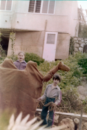משפחת ברינר - אלקנה - שנות השמונים  אשקוביות נוף שומרון 6