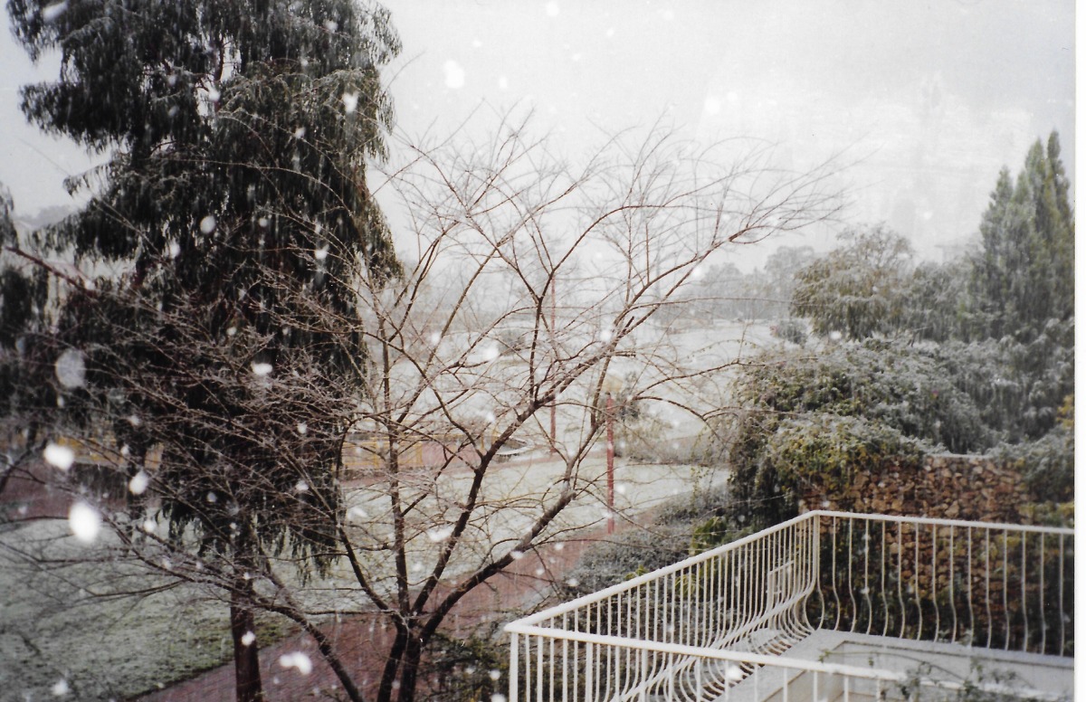 שלג באלקנה חורף תש"ס - שכונת 165