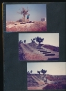 אלבום תיעוד מיזם הקמת פארק הגורן בקיץ 1988 (באדיבות איצ'ה ניסן, תשפ"ו 2026)