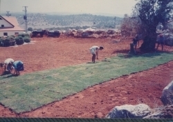 אלבום תיעוד מיזם הקמת פארק הגורן בקיץ 1988 (באדיבות איצ'ה ניסן, תשפ"ו 2026)