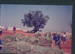 אלבום תיעוד מיזם הקמת פארק הגורן בקיץ 1988 (באדיבות איצ'ה ניסן, תשפ"ו 2026)