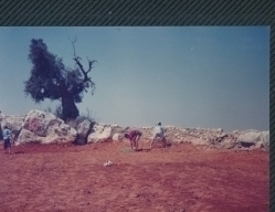 אלבום תיעוד מיזם הקמת פארק הגורן בקיץ 1988 (באדיבות איצ'ה ניסן, תשפ"ו 2026)