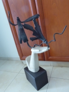 אם שולחת את בנה לצבא