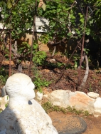 אריק שרון על רקע הצמחים שנשתלו ביום העקירה מגוש קטיף