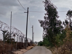 קצה החורשה ומשמאלה כביש הביטחון