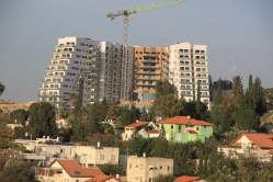 תצפית פנורמית: פרוטיאה באלקנה  (צילום: שמואל קליין, ניסן תשפ"ה)