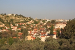 תצפית פנורמית: שכונת ה-165 ומשמאלה העלייה לפארק הגורן (צילום: שמואל קליין, ניסן תשפ"ה)