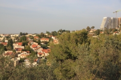 (צילום: שמואל קליין, ניסן תשפ"ה)