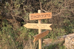 הכניסה למצפה גיבורים (צילום: שמואל קליין, ניסן תשפ"ה)