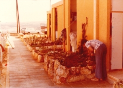 חנה דה האן מטפחת את גינת האשקובית. צילם: עקיבא איזנברג [באדיבות רחל ועקיבא איזנברג, תשפ"ה 2025]