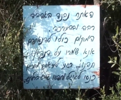 (צילום: רונית זילברשץ, ניסן תשפ"ה 2025)