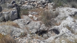 בור מים עתיק (באדיבות ליאור אלעד, ניסן תשפ"ה)