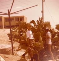 יהודה ונועם בקטיף סברסים