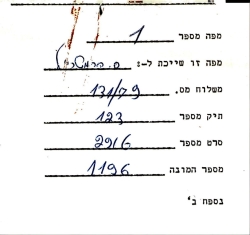 81