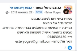 'הכובעים של אסתר'