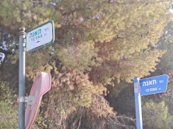 השלט החדש (כחול) לצד השלט הישן (צבעוני) לפני הורדתו. צולם בשכונת ה-34