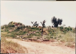 הגורן בצילום משנת 1990 (לקראת חגיגות בר מצווה לאלקנה)