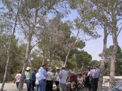 מצפה יריחו-בית אורות 061