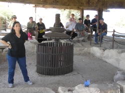 נאות קדומים 011