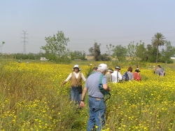 ניר גלים-אשדוד 325