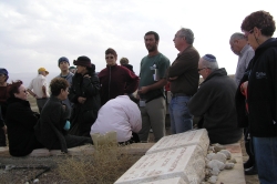 בית הערבה-מצדה 081