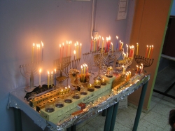 בית הערבה-מצדה 180