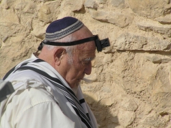 בית הערבה-מצדה 247