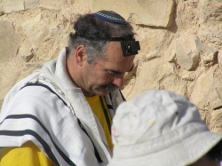 בית הערבה-מצדה 248