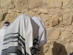 בית הערבה-מצדה 260