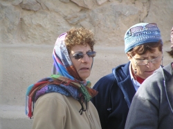 בית הערבה-מצדה 264