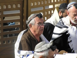 בית הערבה-מצדה 275