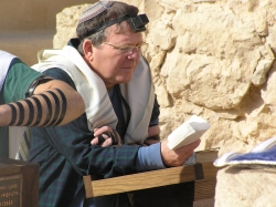 בית הערבה-מצדה 273