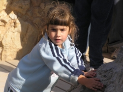 בית הערבה-מצדה 330