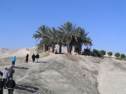 בקעת הירדן 019