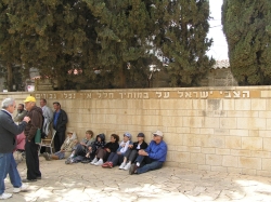 דגניה מנרה 104