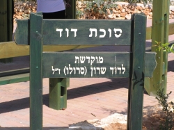 קיץ 2007 432
