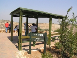 קיץ 2007 433