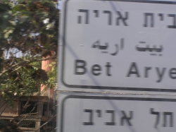 קיץ 2007 447