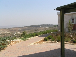 קיץ 2007 438