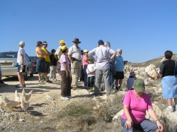 יצהר -עיבל (37)