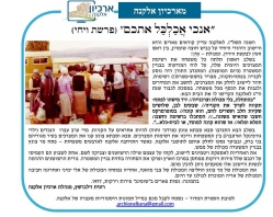גל' 1198 - המכולת הראשונה