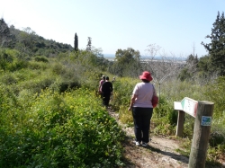 שביל בהגי 066