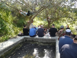 שביל בהגי 072