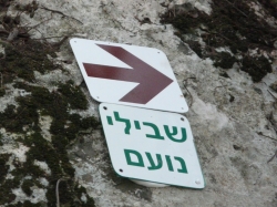 שביל בהגי 026