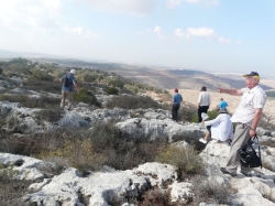 פדואל (4)