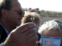שמורת פורה=בתרונות רוחמה 009