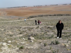 שמורת פורה=בתרונות רוחמה 117