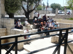 ירושלים המזרחית 220