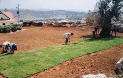 נוער אלקנה בפעולה